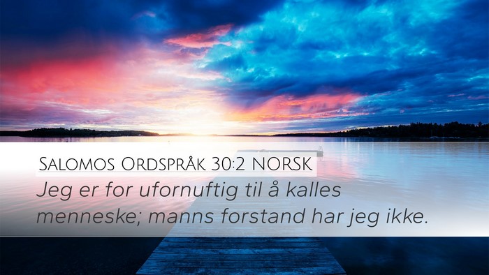 Salomos Ordspråk 30:2 NORSK Bible Verse Image