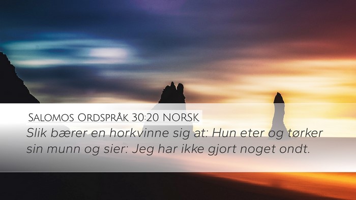 Salomos Ordspråk 30:20 NORSK Bible Verse Image