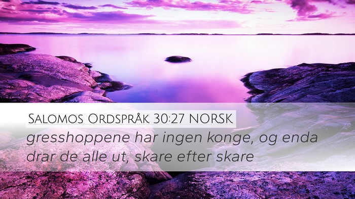 Salomos Ordspråk 30:27 NORSK Bible Verse Image