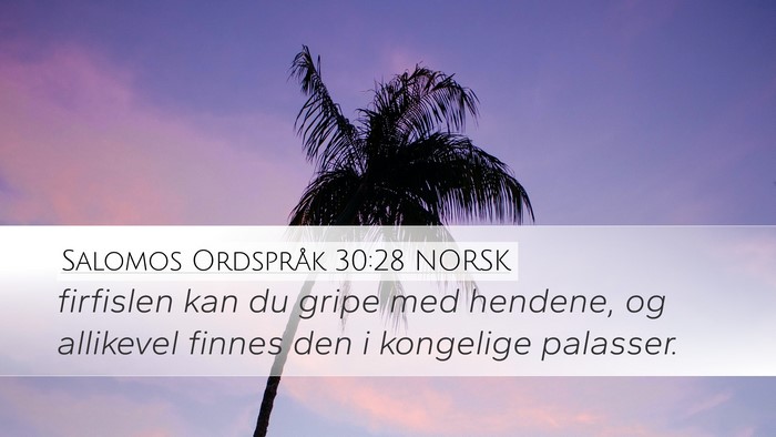 Salomos Ordspråk 30:28 NORSK Desktop Wallpaper - firfislen kan du gripe med hendene, og allikevel - Desktop Bible Verse Wallpaper