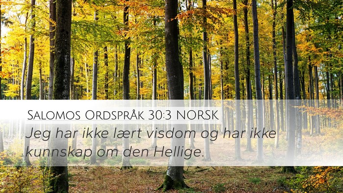Salomos Ordspråk 30:3 NORSK Bible Verse Image