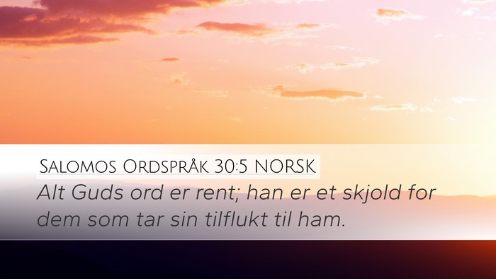Salomos Ordspråk 30:5 NORSK Bible Verse Image
