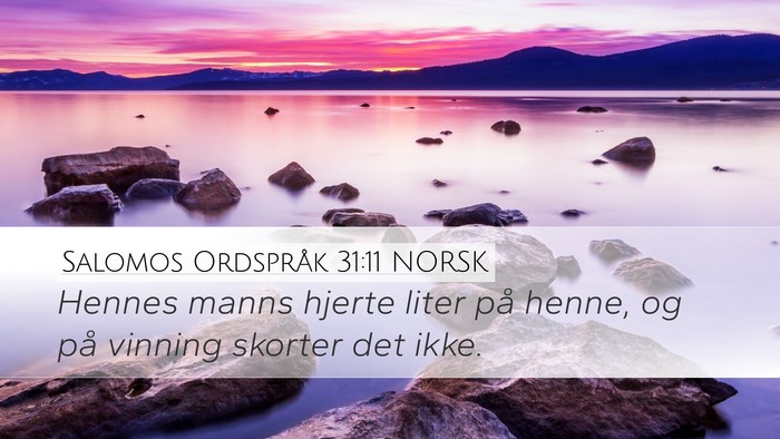 Salomos Ordspråk 31:11 NORSK Bible Verse Image