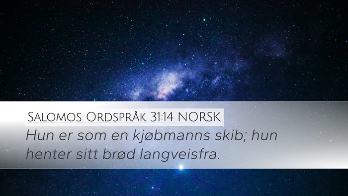 Salomos Ordspråk 31:14 NORSK Desktop Wallpaper - Hun er som en kjøbmanns skib; hun henter sitt - Desktop Bible Verse Wallpaper