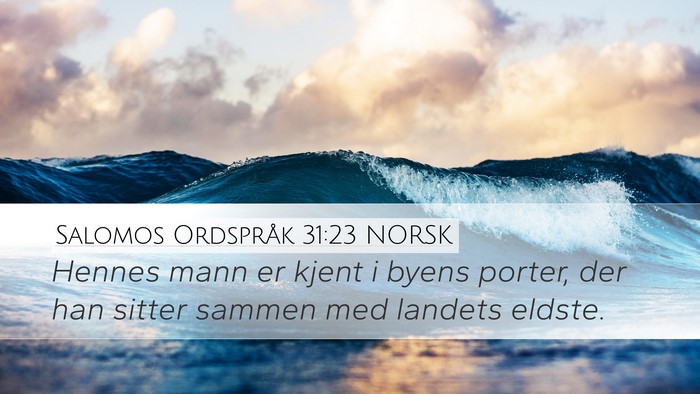 Salomos Ordspråk 31:23 NORSK Bible Verse Image