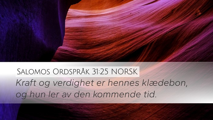 Salomos Ordspråk 31:25 NORSK Desktop Wallpaper - Kraft og verdighet er hennes klædebon, og hun - Desktop Bible Verse Wallpaper