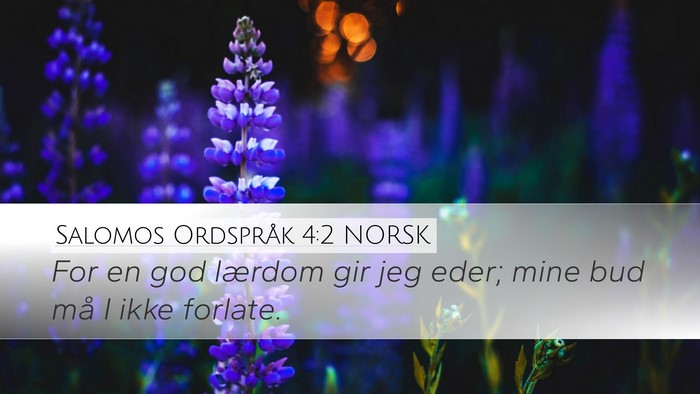 Salomos Ordspråk 4:2 NORSK Desktop Wallpaper - For en god lærdom gir jeg eder; mine bud må I - Desktop Bible Verse Wallpaper