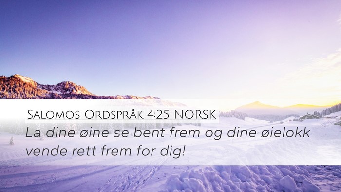 Salomos Ordspråk 4:25 NORSK Bible Verse Image
