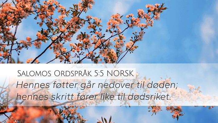 Salomos Ordspråk 5:5 NORSK Desktop Wallpaper - Hennes føtter går nedover til døden; hennes - Desktop Bible Verse Wallpaper