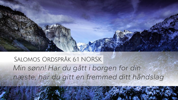Salomos Ordspråk 6:1 NORSK Bible Verse Image