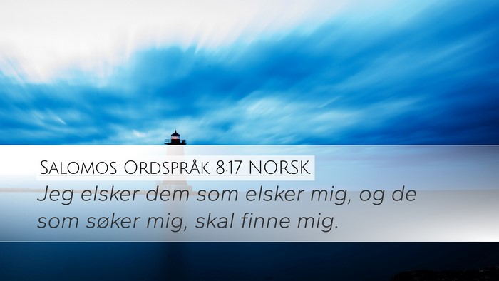Salomos Ordspråk 8:17 NORSK Bible Verse Image