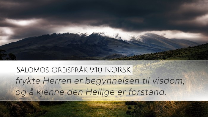 Salomos Ordspråk 9:10 NORSK Bible Verse Image