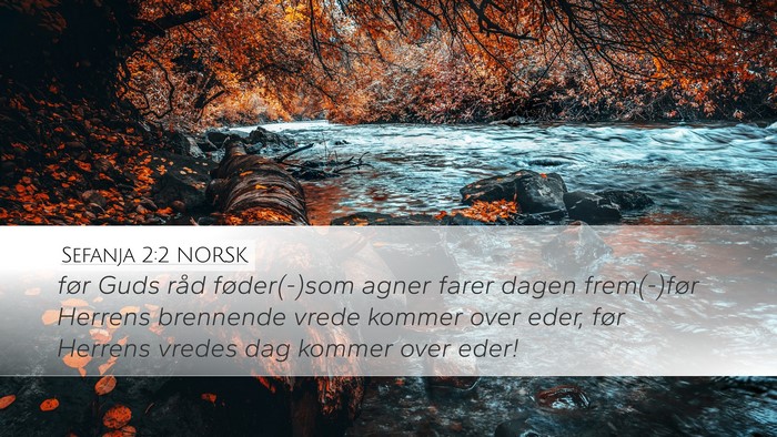 Sefanja 2:2 NORSK Desktop Wallpaper - før Guds råd føder(-)som agner farer dagen - Desktop Bible Verse Wallpaper