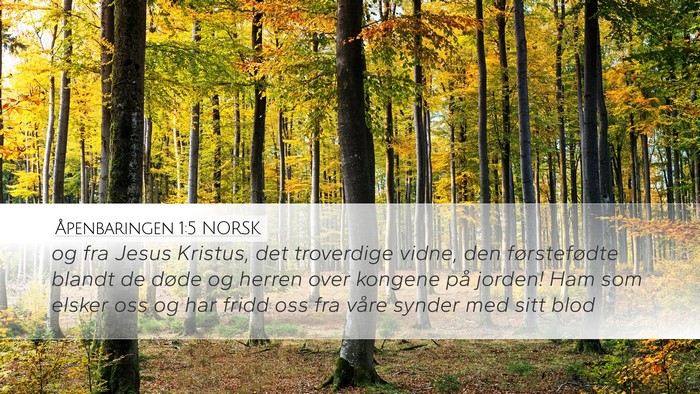 Åpenbaringen 1:5 NORSK Bible Verse Image