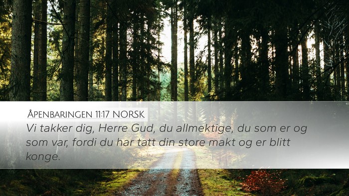 Åpenbaringen 11:17 NORSK Bible Verse Image