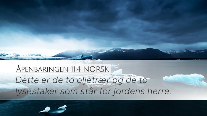Åpenbaringen 11:4 NORSK Bible Verse Image