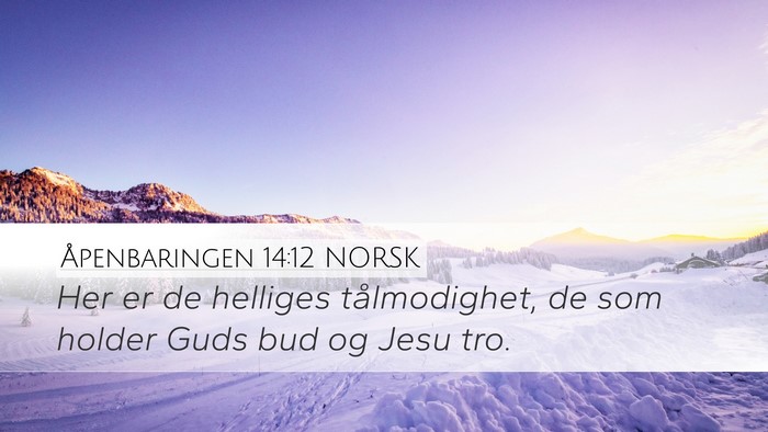Åpenbaringen 14:12 NORSK Bible Verse Image