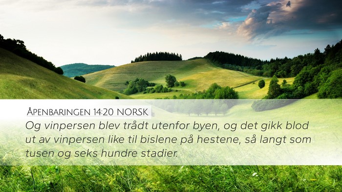 Åpenbaringen 14:20 NORSK Bible Verse Image