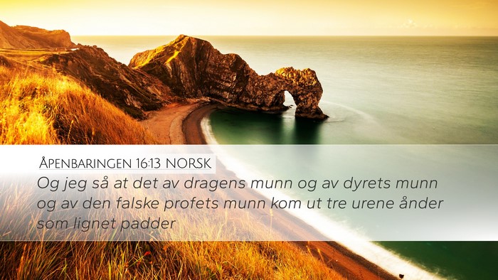 Åpenbaringen 16:13 NORSK Bible Verse Image