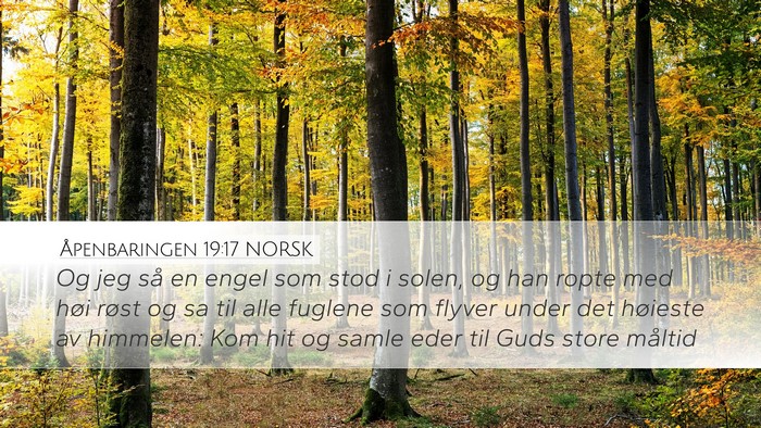 Åpenbaringen 19:17 NORSK Bible Verse Image