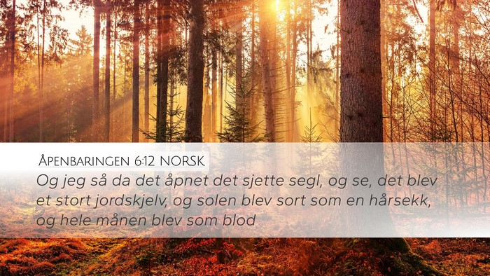 Åpenbaringen 6:12 NORSK Bible Verse Image