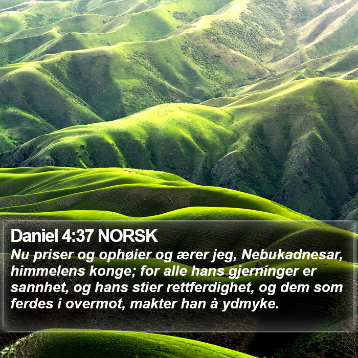 Daniel 4 Bible Images - Daniel Chapter 4 NORSK Bible Verse Pictures