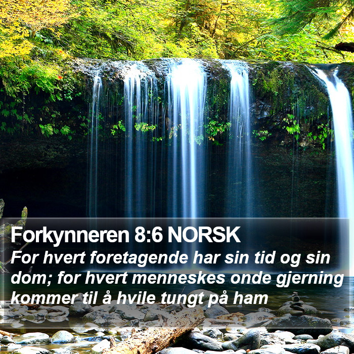 Forkynneren 8:6 NORSK - For hvert foretagende har sin tid og sin dom; for - Bible Verse Picture