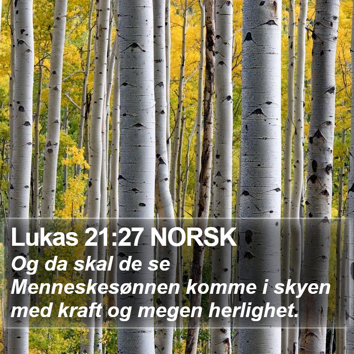 Lukas 21:27 NORSK - Og da skal de se Menneskesønnen komme i skyen