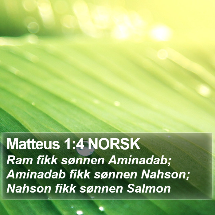 Matteus 1:4 NORSK - Ram fikk sønnen Aminadab; Aminadab fikk sønnen