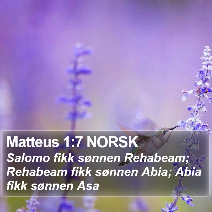 Matteus 1:7 NORSK - Salomo fikk sønnen Rehabeam; Rehabeam fikk