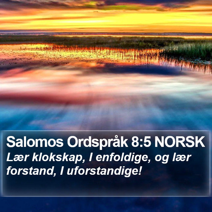 Salomos Ordspråk 8:5 NORSK - Lær klokskap, I enfoldige, og lær forstand, I