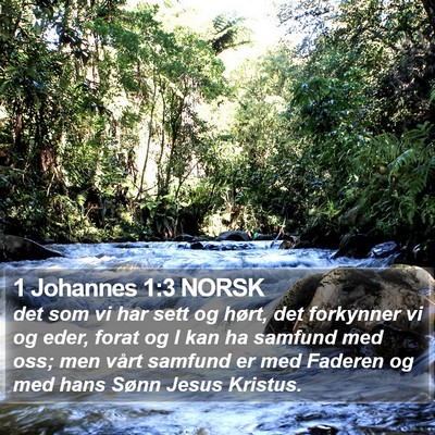 1 Johannes 1:3 NORSK Bible Verse Image