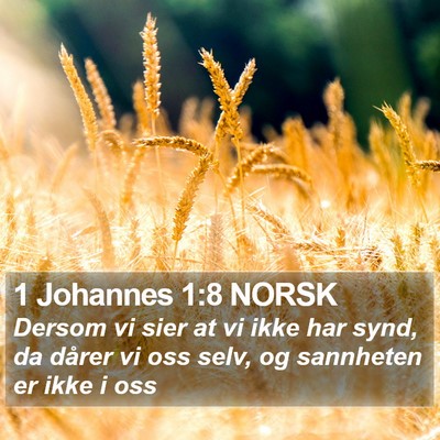 1 Johannes 1:8 NORSK Bible Verse Image