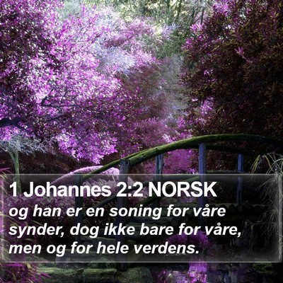 1 Johannes 2:2 NORSK Bible Verse Image