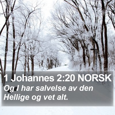 1 Johannes 2:20 NORSK Bible Verse Image