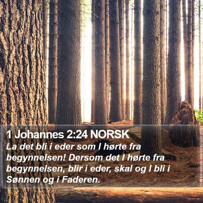 1 Johannes 2:24 NORSK Bible Verse Image