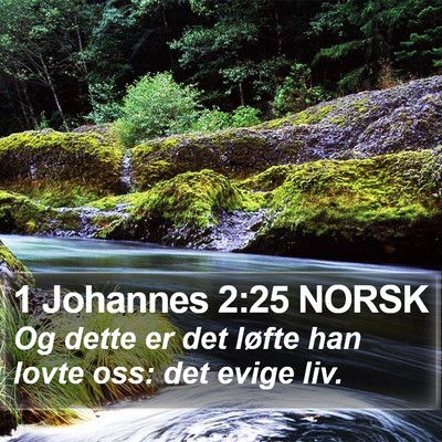 1 Johannes 2:25 NORSK Bible Verse Image