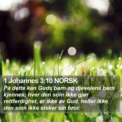 1 Johannes 3:10 NORSK Bible Verse Image