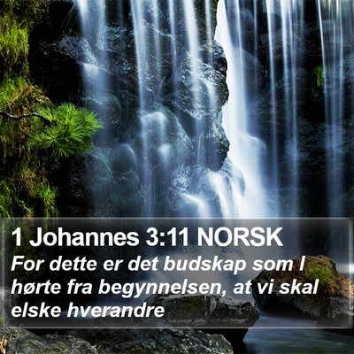 1 Johannes 3:11 NORSK Bible Verse Image