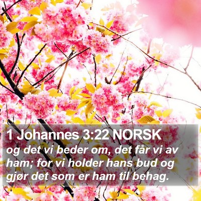 1 Johannes 3:22 NORSK Bible Verse Image