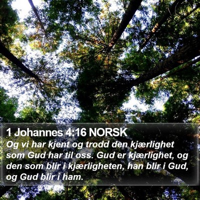 1 Johannes 4:16 NORSK Bible Verse Image