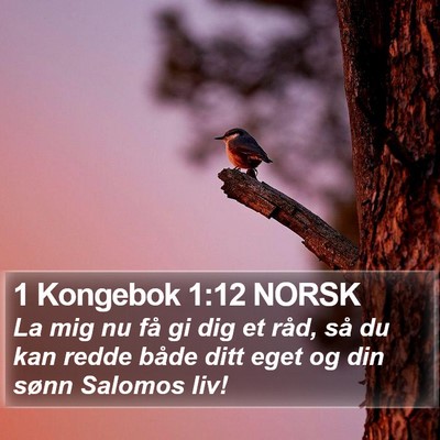 1 Kongebok 1:12 NORSK Bible Verse Image