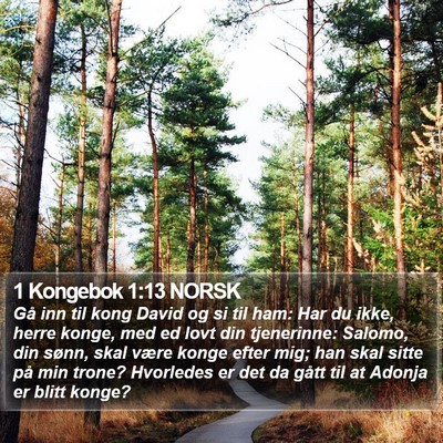 1 Kongebok 1:13 NORSK Bible Verse Image