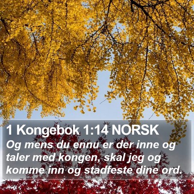 1 Kongebok 1:14 NORSK Bible Verse Image