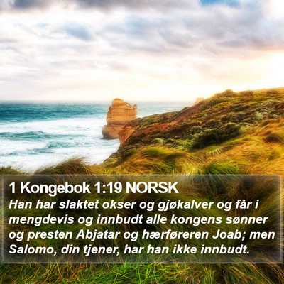 1 Kongebok 1:19 NORSK Bible Verse Image