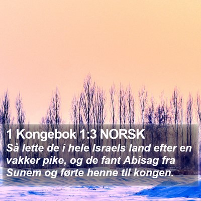 1 Kongebok 1:3 NORSK Bible Verse Image