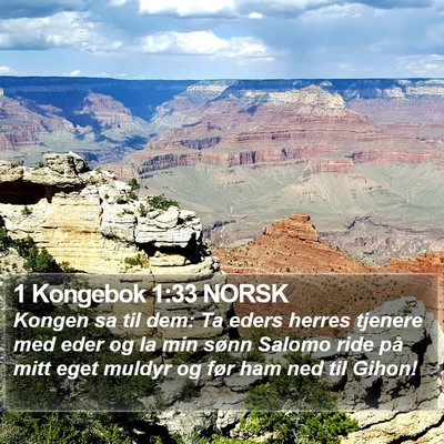 1 Kongebok 1:33 NORSK Bible Verse Image