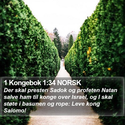 1 Kongebok 1:34 NORSK Bible Verse Image