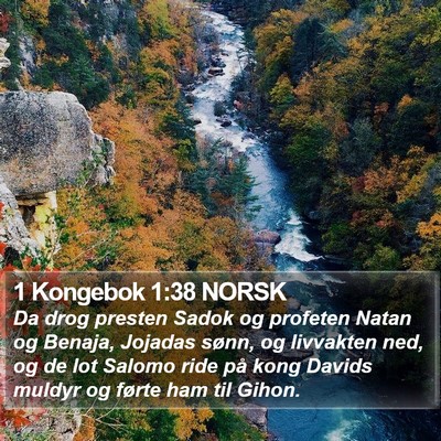 1 Kongebok 1:38 NORSK Bible Verse Image