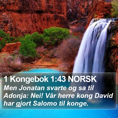 1 Kongebok 1:43 NORSK Bible Verse Image